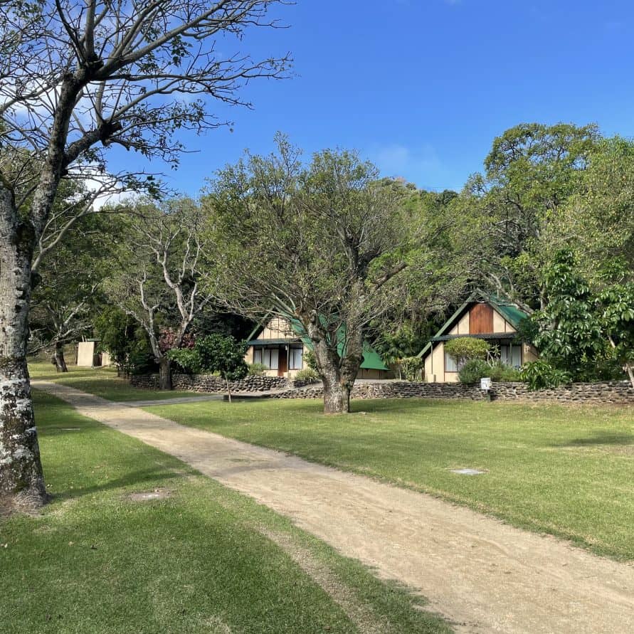 Bosbok-chalet3-891x891