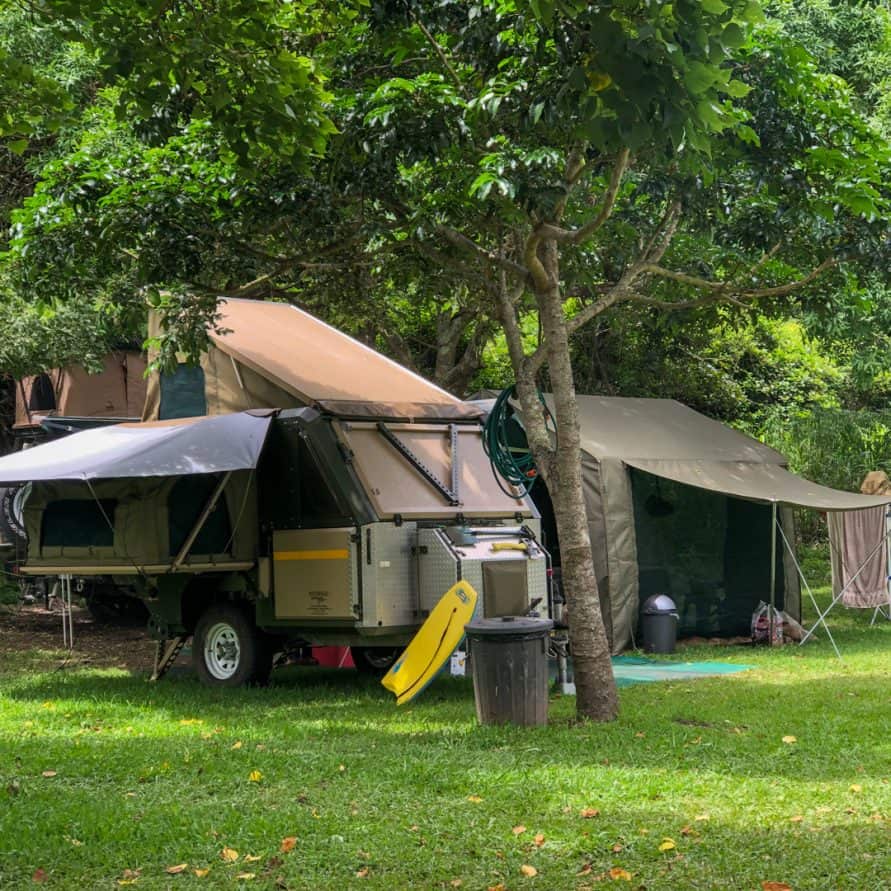 Bosbok-facebook-klein-1166-891x891